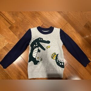 Kids Dinosaur Graphic Sweater - Gray and Navy